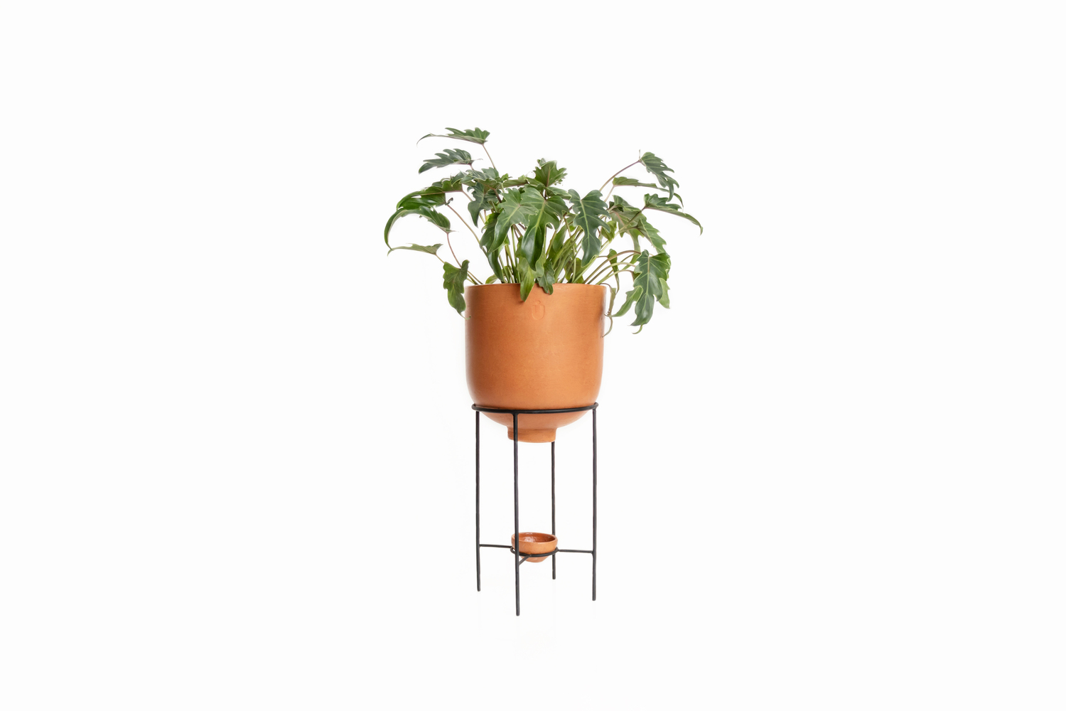Maceta pivote mediana 40